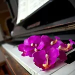 Bed & Breakfast Arts And Music