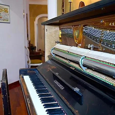Arts And Music Nocleg ze śniadaniem 3*