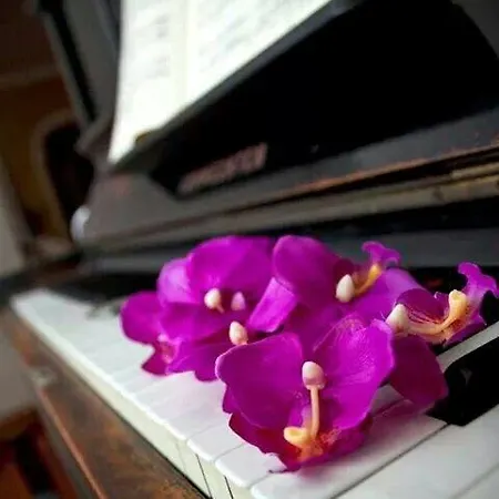 فندق مبيت وإفطار Arts And Music